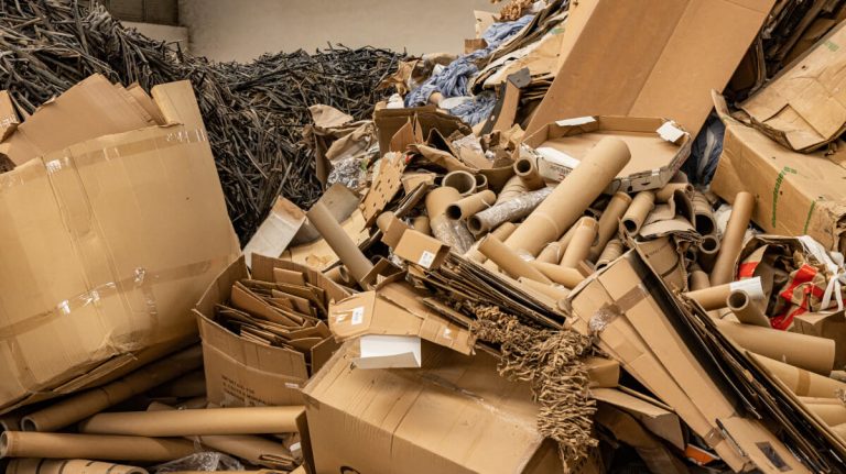 Linhambiente - Reception and Collection of Paper and Cardboard