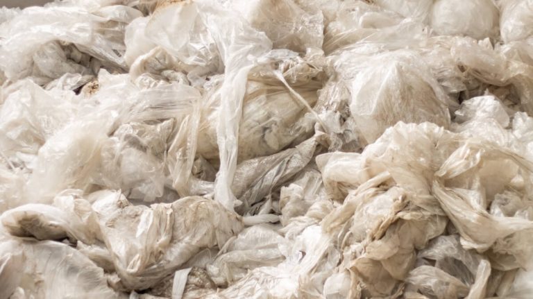 Linhambiente - Reception and Collection of Plastic